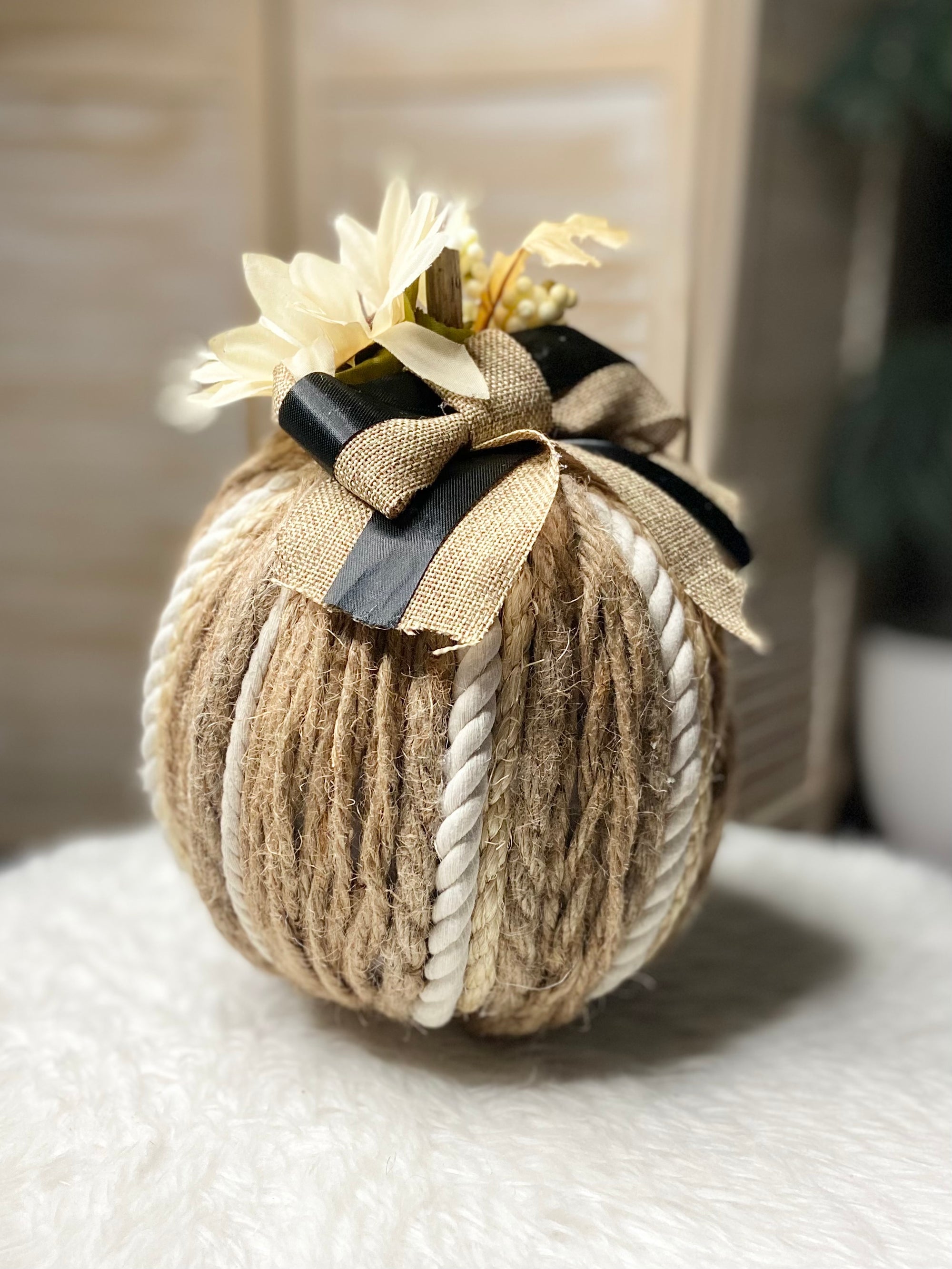 Harvest Ribbon Heirloom Pumpkin