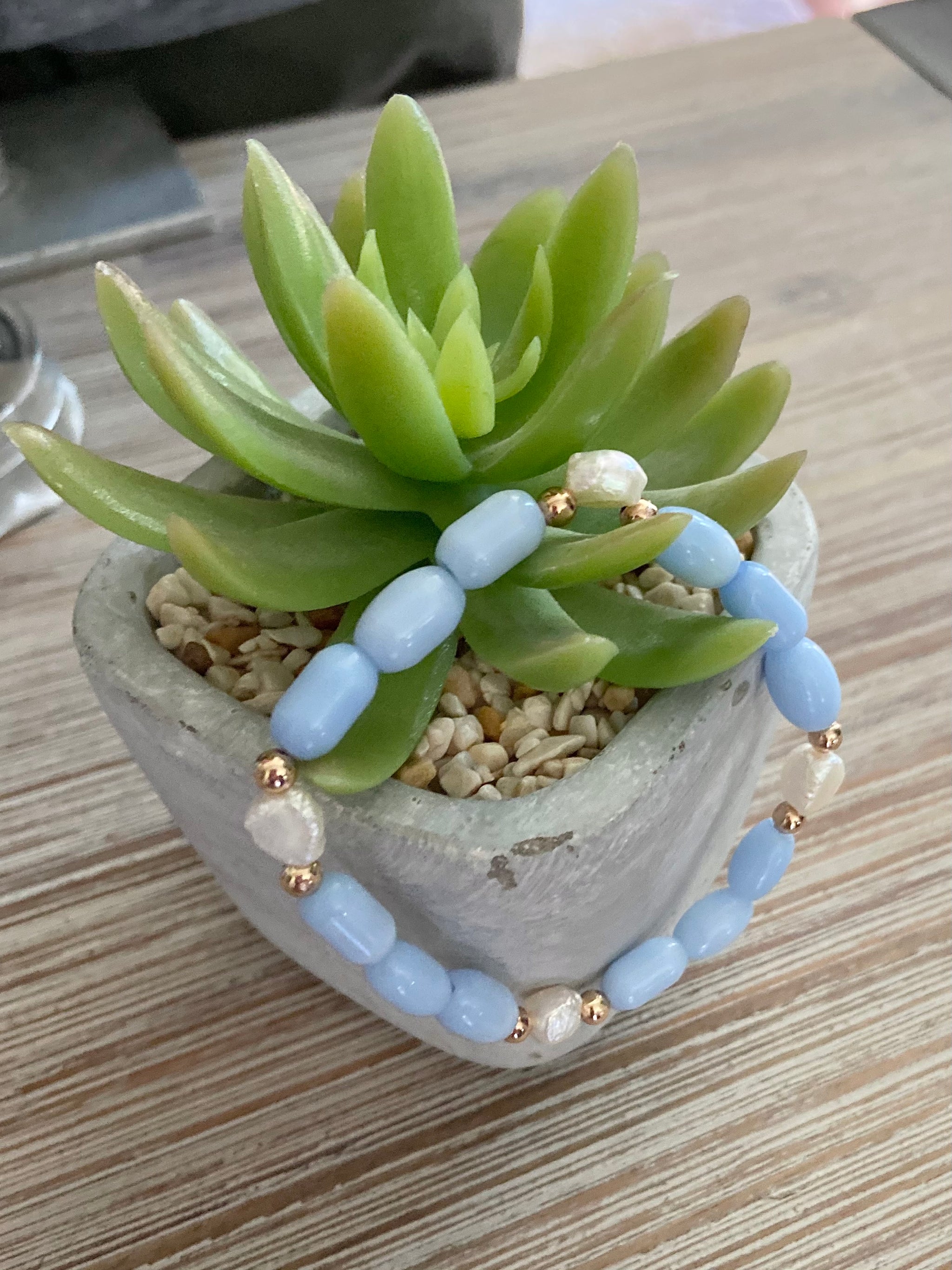 blue belle succulent Blue Belle Bracelet